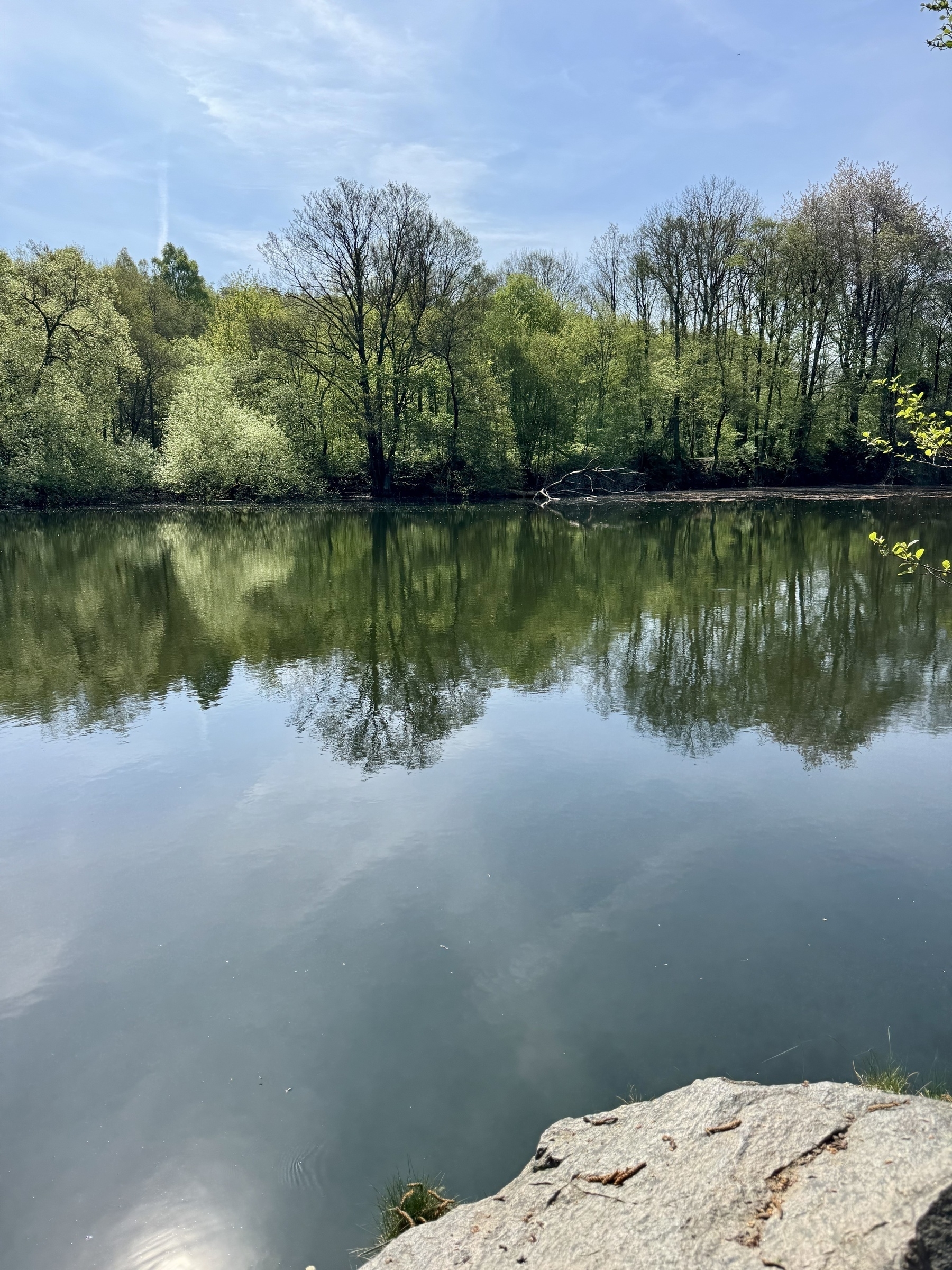 En stilla sjö omgiven av träd reflekterar den blå himlen och de gröna träden i vattnet.